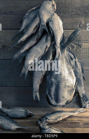 Getrocknete roach hängend an einem Seil gegen die Wand. Stockfoto