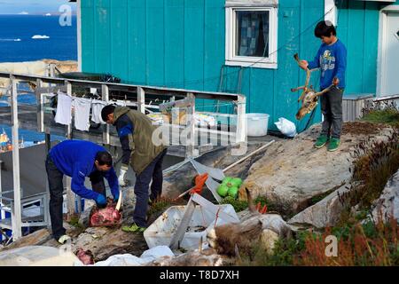 Grönland, Westküste, Baffin Bay, Upernavik, Jäger skinning ein walross Kopf und ein Inuit Junge spielt mit einem Rentier Kopf von seinem Vater gejagt Stockfoto