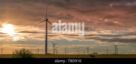 Windenergieanlage in Northwest Indiana in einem Maisfeld bei Sonnenuntergang. Stockfoto