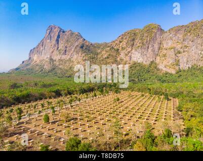 Myanmar (Burma), Karen, Hpa, Lumbini Garden von 1100 Buddhas und Mount Zwe Ga Bin (Luftbild) Stockfoto