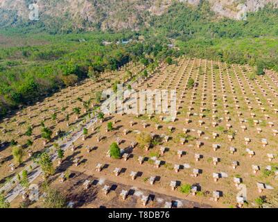 Myanmar (Burma), Karen, Hpa, Lumbini Garden von 1100 Buddhas und Mount Zwe Ga Bin (Luftbild) Stockfoto