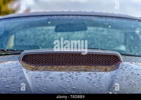 Die Haube/Lufthutze/Frontgrill einsetzen eines Ford Mustang GT abgedeckt in glitzernden Wassertropfen nach einem Sommer Sturm. Stockfoto