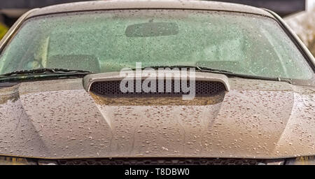 Eine metallic grau 2001 Ford Mustang GT Coupé fallenden Wassertropfen nach einem Sommer regen Sturm. Winzige Wassertropfen Licht und funkelnde widerspiegelt. Stockfoto