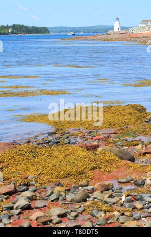 Kanada, New Brunswick, Charlotte County, St. Andrews, Pendlebury Leuchtturm (erbaut 1833). Stockfoto