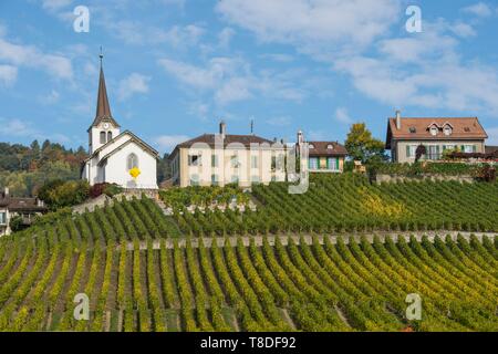 Schweiz, Kanton Waadt, Nyon, Weinberg und Dorf FÚchy Stockfoto