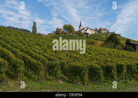 Schweiz, Kanton Waadt, Nyon, Weinberg und Dorf FÚchy Stockfoto