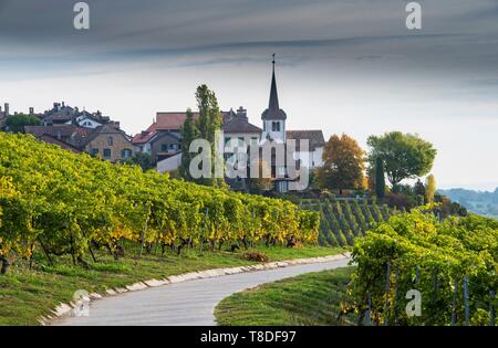 Schweiz, Kanton Waadt, Nyon, Weinberg und Dorf FÚchy Stockfoto