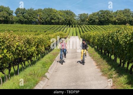 Schweiz, Kanton Waadt, Nyon, Paar, Elektrofahrrad im Weinberg von duillier Stockfoto