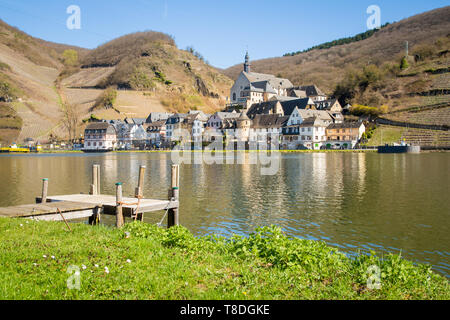 Schöne Sicht auf die historische Stadt Beilstein mit Mosel im schönen Abendlicht im Frühling, Rheinland-Pfalz, Deutschland Stockfoto