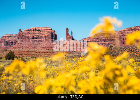 Malerischer Blick auf berühmte Tal der Götter mit blühenden Wildblumen an einem schönen sonnigen Tag mit blauen Himmel im Sommer, Utah, USA Stockfoto