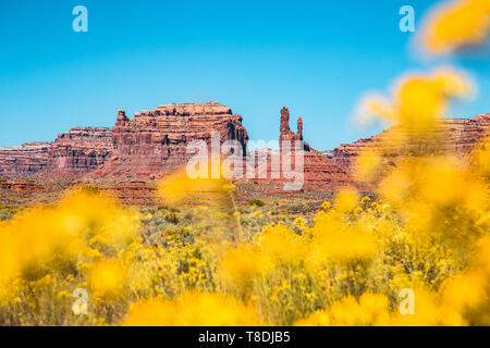 Malerischer Blick auf berühmte Tal der Götter mit blühenden Wildblumen an einem schönen sonnigen Tag mit blauen Himmel im Sommer, Utah, USA Stockfoto