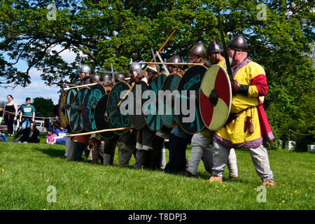 Viking Battle Reenactment bei Milton Keynes Museum Geschichte Festival 2019. Wolverton, Buckinghamshire, England, Großbritannien Stockfoto