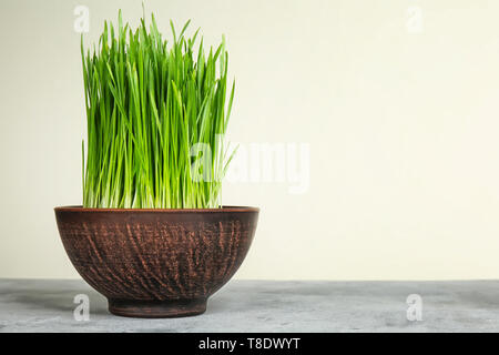 Schüssel mit Gekeimten Weizen Gras auf dem Tisch vor weißem Hintergrund Stockfoto