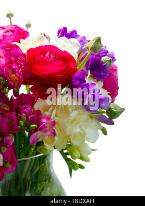 Freeseia frische Blumen Stockfoto