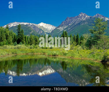 Feuchtgebiet in der Bull River Valley unter dem Berge in der Nähe von Troy, Montana Stockfoto