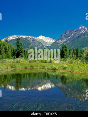 Feuchtgebiet in der Bull River Valley unter dem Berge in der Nähe von Troy, Montana Stockfoto