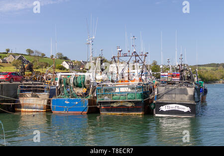 Union Halle, Irland, 13. Mai 2019, die Fischereiflotte der Union Halle warten und sorgen sich um die Brexit Ergebnis. Die Arten sind Sie hauptsächlich für den Fang von Garnelen (Langusten), wenn sie nicht Zugang zu britischen Gewässern die Yacht Skipper sagen diese Flotte dezimiert werden, erhalten. Kredit aphperspective/Alamy leben Nachrichten Stockfoto