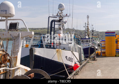 Union Halle, Irland, 13. Mai 2019, die Fischereiflotte der Union Halle warten und sorgen sich um die Brexit Ergebnis. Die Arten sind Sie hauptsächlich für den Fang von Garnelen (Langusten), wenn sie nicht Zugang zu britischen Gewässern die Yacht Skipper sagen diese Flotte dezimiert werden, erhalten. Kredit aphperspective/Alamy leben Nachrichten Stockfoto