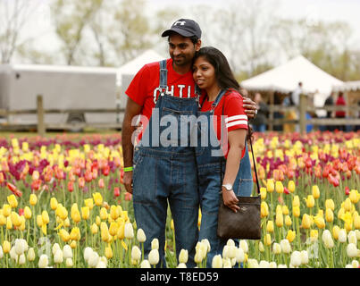 Holland, USA. 12. Mai 2019. Besucher posieren für Fotos, die während der jährlichen Tulip Time Festival in der Stadt von Holland, Michigan, USA, am 12. Mai 2019. Das Festival wurde vom 4. bis 12. Mai statt. Credit: Wang Ping/Xinhua/Alamy leben Nachrichten Stockfoto