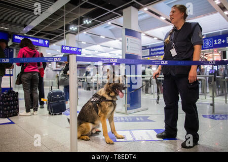 Düsseldorf, Deutschland. 09 Mai, 2019. 09.05.2019, Nordrhein-Westfalen, Düsseldorf: Zoll hund Luke wartet auf seine Mission auf dem Flughafen mit hundeführer Sabine Mohren. Lukas kann Bargeld heraus schnüffeln. In seinem ersten Jahr der Service, schnupperte er bereits 745 000 Euro. Der Deutsche Schäferhund ist spezialisiert in Euro, US-Dollar und britischen Pfund. Credit: Rolf Vennenbernd/dpa | Verwendung weltweit/dpa/Alamy leben Nachrichten Stockfoto