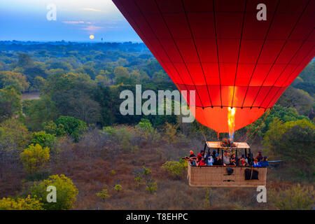 Hot Air Balloon in Bagan (Myanmar) Stockfoto