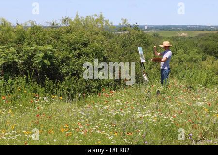 Mann Malerei in einem Feld von Wildblumen Stockfoto