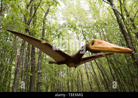 Dinosaurierpark, Abenteuer, Bildungsausflüge Stockfoto