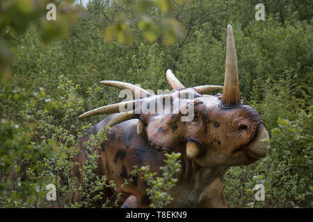 Dinosaurierpark, Abenteuer, Bildungsausflüge Stockfoto