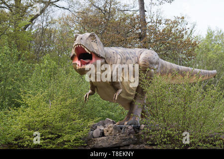 Dinosaurierpark, Abenteuer, Bildungsausflüge Stockfoto