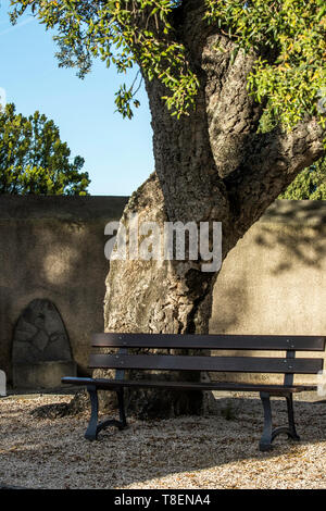 Ramatuelle Friedhof - Gerard Philipe (1922-1959) Schauspieler - Pierre Vellay Pionier der Schmerzlose Geburt in Frankreich., Natalie Bitchatch Maler Stockfoto
