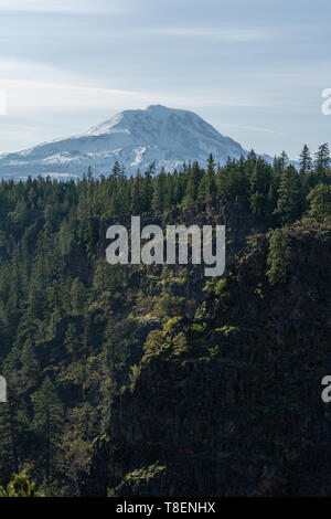 Snowy Mt Adams Blick, Ostseite, an einem sonnigen Frühlingstag, Baum fallenden Felsen im Vordergrund. Stockfoto