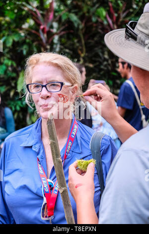 Ecuador Reiseführer Farben Gesicht auf einem weiblichen Touristen mit traditionellen Pflanze Farbe Stockfoto