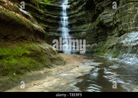 Der frühe Frühling in französischer Sprache Canyon, ausgehungert Rock State Park, Illinois. Stockfoto