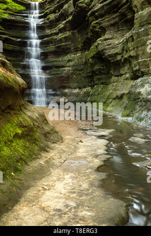 Der frühe Frühling in französischer Sprache Canyon, ausgehungert Rock State Park, Illinois. Stockfoto