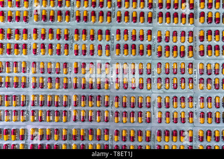Antibiotikum Kapsel Pillen in Blister Verpackung an der Fertigungslinie für die pharmazeutische Industrie. Pharmazeutische Industrie und Pharmazie Konzept Stockfoto
