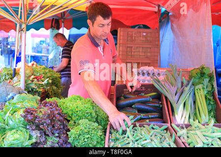 Frankreich, Nord, Lille, Wazemmes, Markt, pflanzliche Verkäufer Stockfoto