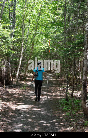 Fundy National Park, in der Nähe von Alma in der Bucht von Fundy in New Brunswick gelegen, bietet Camping, Wandern, Kajak, Kanu, ein Golfplatz und mehr Stockfoto