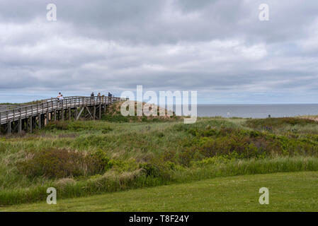 Meilen von Sanddünen, Barrier Islands, Sandsteinfelsen, Feuchtgebiete und Wälder. Die Strände von Cavendish sind Teil der Prince Edward Island National Park Stockfoto