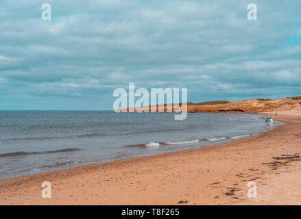 Meilen von Sanddünen, Barrier Islands, Sandsteinfelsen, Feuchtgebiete und Wälder. Die Strände von Cavendish sind Teil der Prince Edward Island National Park Stockfoto