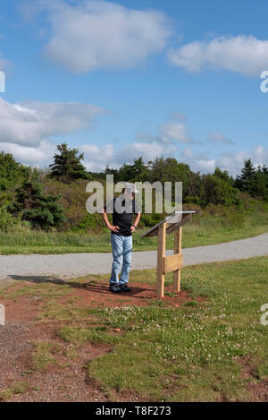 Meilen von Sanddünen, Barrier Islands, Sandsteinfelsen, Feuchtgebiete und Wälder. Die Strände von Cavendish sind Teil der Prince Edward Island National Park Stockfoto