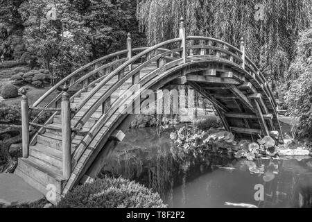 Mond Brücke, die Huntington Botanical Gardens Stockfoto