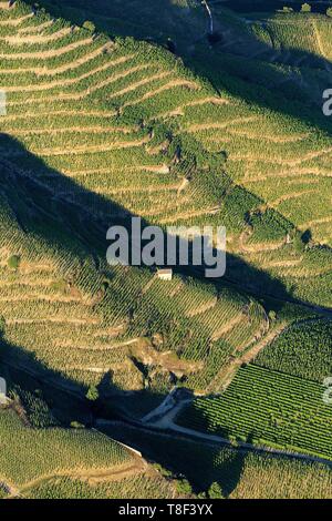 Frankreich, Drome, Tain l'Hermitage, AOC Hermitage Weinberg (Luftbild) Stockfoto