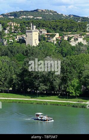 Frankreich, Vaucluse, Avignon, die Insel Barthelasse, Navigation auf der Rhone, Philippe Le Bel Turm in Villeneuve les Avignon im Hintergrund Stockfoto