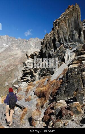 Frankreich, Isère, Valjouffrey, Nationalpark Ecrins, Haut Béranger Tal, weibliche Wanderer zu Fuß von Cote Belle Pass Stockfoto