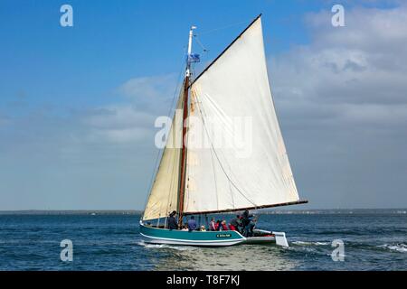 Frankreich, Gironde, Bassin d'Arcachon, Segelboot Le PrÚsident Pierre Mallet, eine Nachbildung der auric Ströme auf dem Becken zu Beginn des 20. Jahrhunderts (Luftbild) Stockfoto