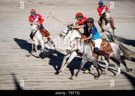 Indien, Bundesstaat Jammu und Kashmir, Himalaya, Ladakh, Indus Valley, Leh, nahkampf von zwei Polo Spieler in einen Wettbewerb, der sich an den jährlichen Ladakh Festival Stockfoto