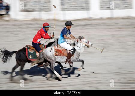 Indien, Bundesstaat Jammu und Kashmir, Himalaya, Ladakh, Indus Valley, Leh, nahkampf von zwei Polo Spieler in einen Wettbewerb, der sich an den jährlichen Ladakh Festival Stockfoto