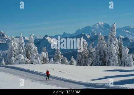 Frankreich, Haute Savoie, Massiv Bauges, über Annecy mit der Savoie, den Semnoz Plateau außergewöhnliche Belvedere auf den Nördlichen Alpen, Langlaufloipen und massiv Mont Blanc Stockfoto