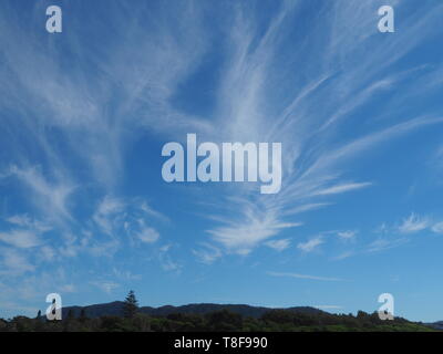 Weiß Wispy Cirrus Wolken bilden hübsche Muster, die in den blauen Himmel Stockfoto