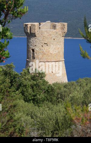 Frankreich, Corse du Sud, Serra di Ferro, Genueserturm von Capannella in Porto Pollo Stockfoto